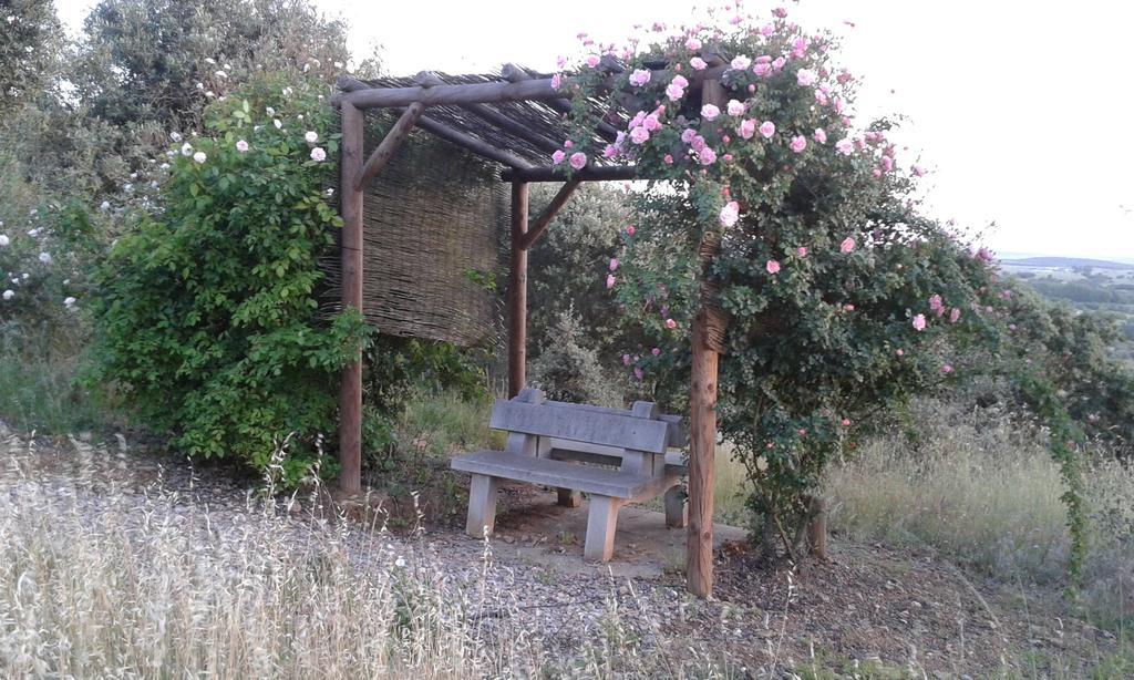 Holiday Home Monte Das Azinheiras Arraiolos Oda fotoğraf