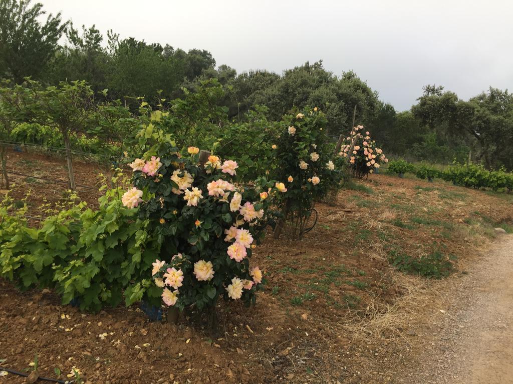 Holiday Home Monte Das Azinheiras Arraiolos Dış mekan fotoğraf