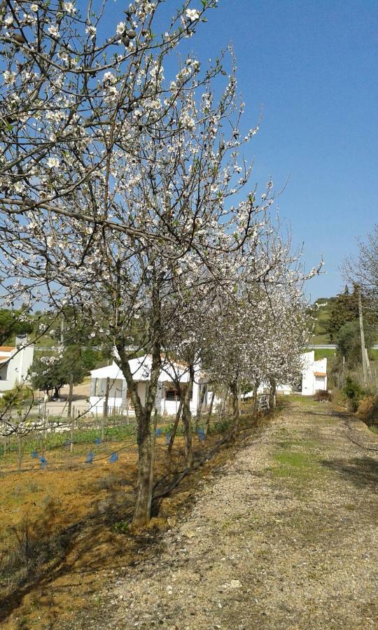 Holiday Home Monte Das Azinheiras Arraiolos Dış mekan fotoğraf